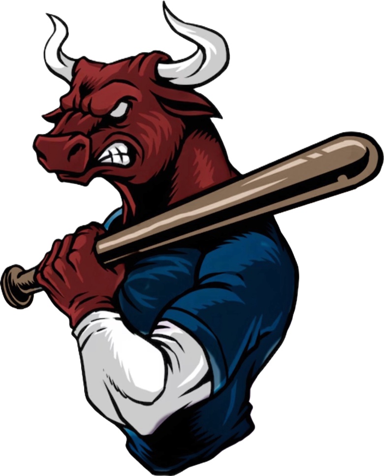 13u-15u Junior Bulls Competitive Teams logo