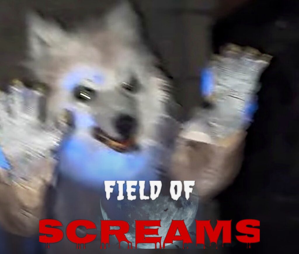 Scary Good: The Field of Screams and the Science of Safe Fear